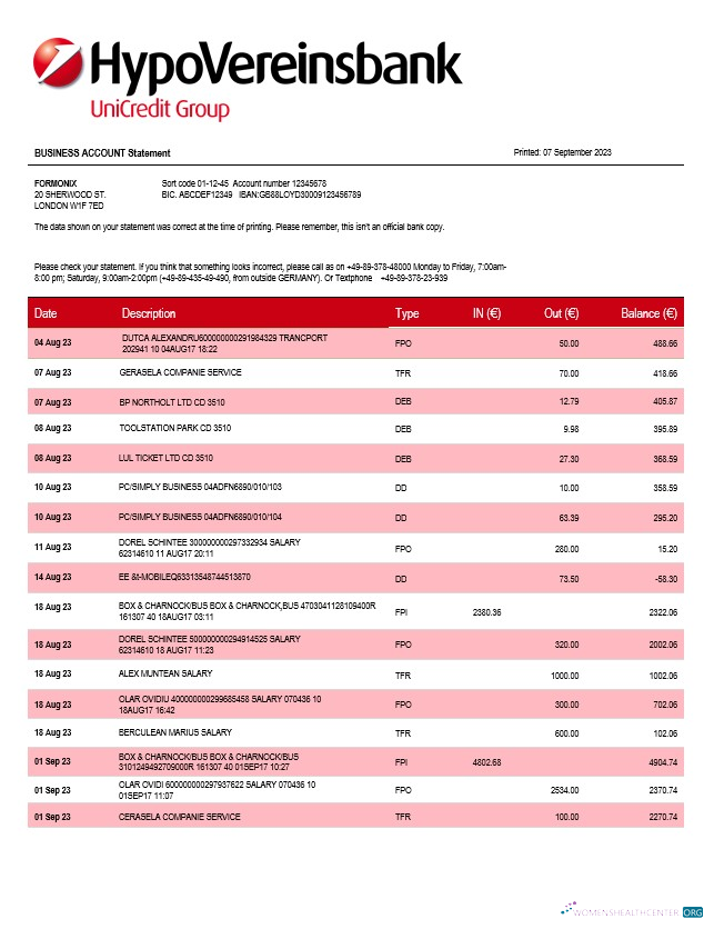 Download HypoVereinsbank enterprise statement Word and PDF template Photoshop template